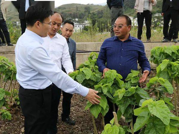 宁南县委书记管昭简历图片