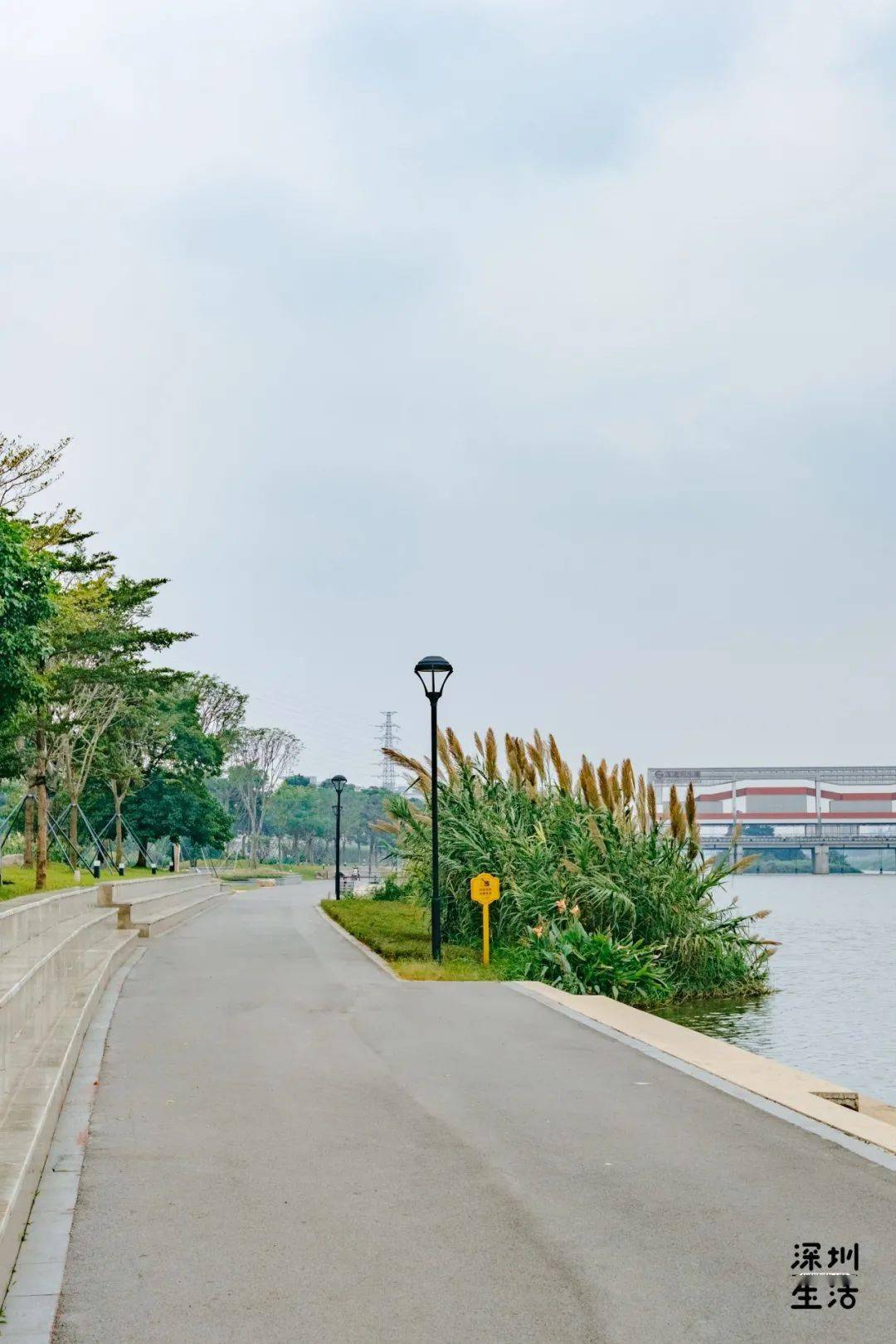 宝安茅洲河碧道开园啦,还能邂逅"水上花海"!