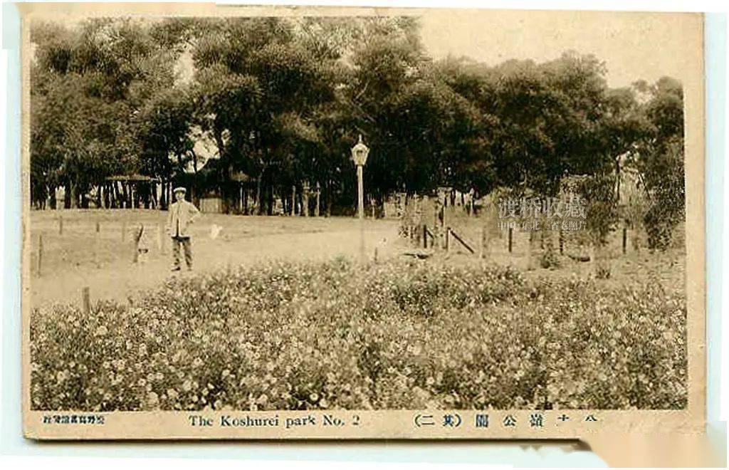 公主嶺舊影丨曾經的公主嶺兒童公園和日本神社