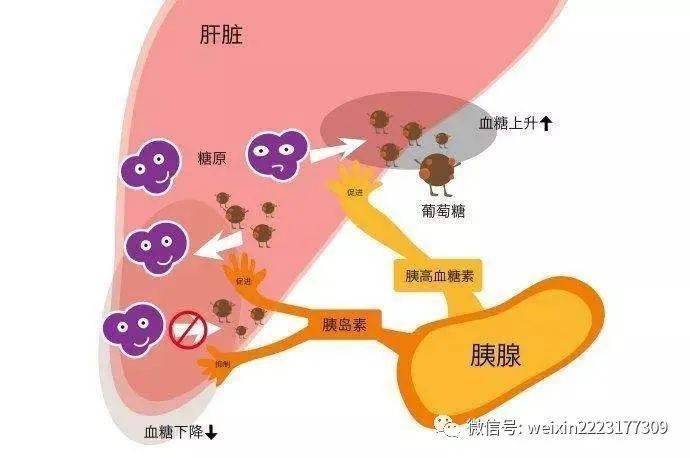 四种水果伤肝脏_1种水果是肝病祸根_最伤肝的六种水果