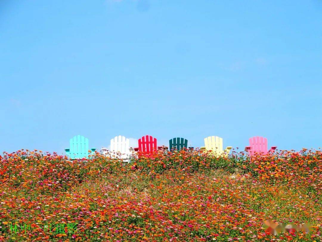 洋光村花堤,风景美如画!_潮州