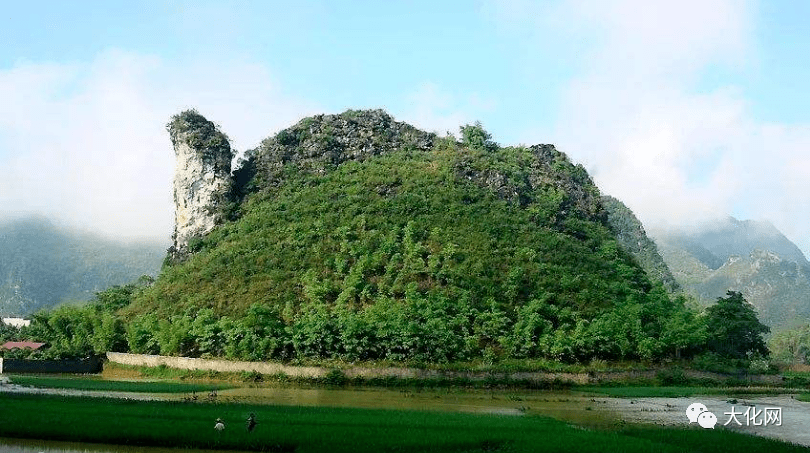 大化將金龜山景區打造成大化縣城郊公園雛議