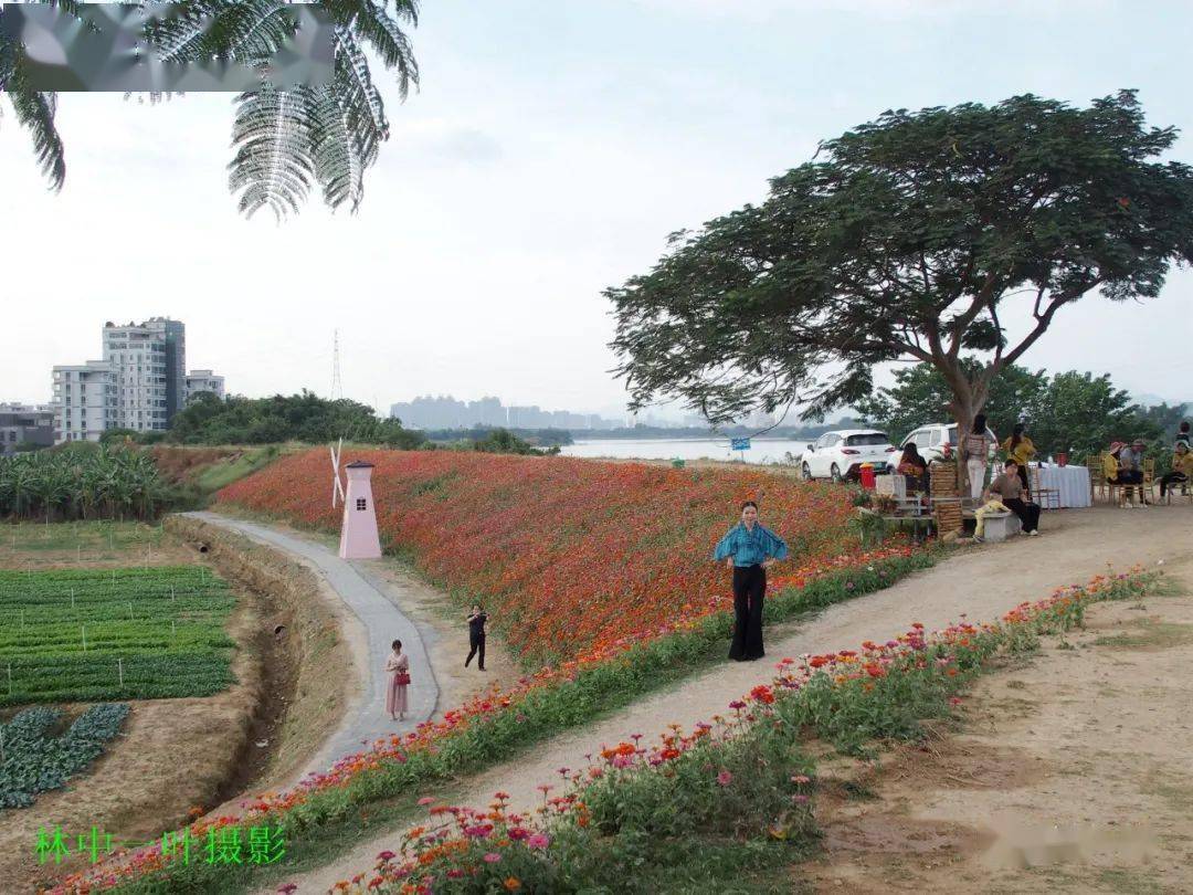 洋光村花堤,风景美如画!_潮州