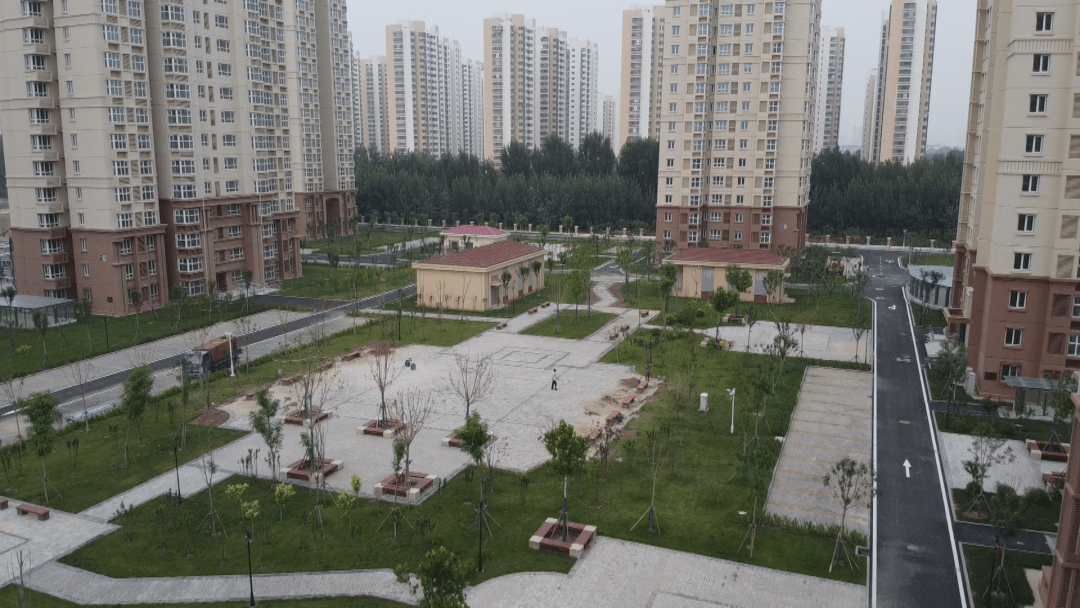 民生实事视频丨西青区中北镇社区贴心服务这里让老人找到家的感觉