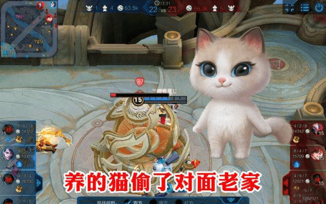 打野不如养猫香?养猫游戏玩家超王者荣耀