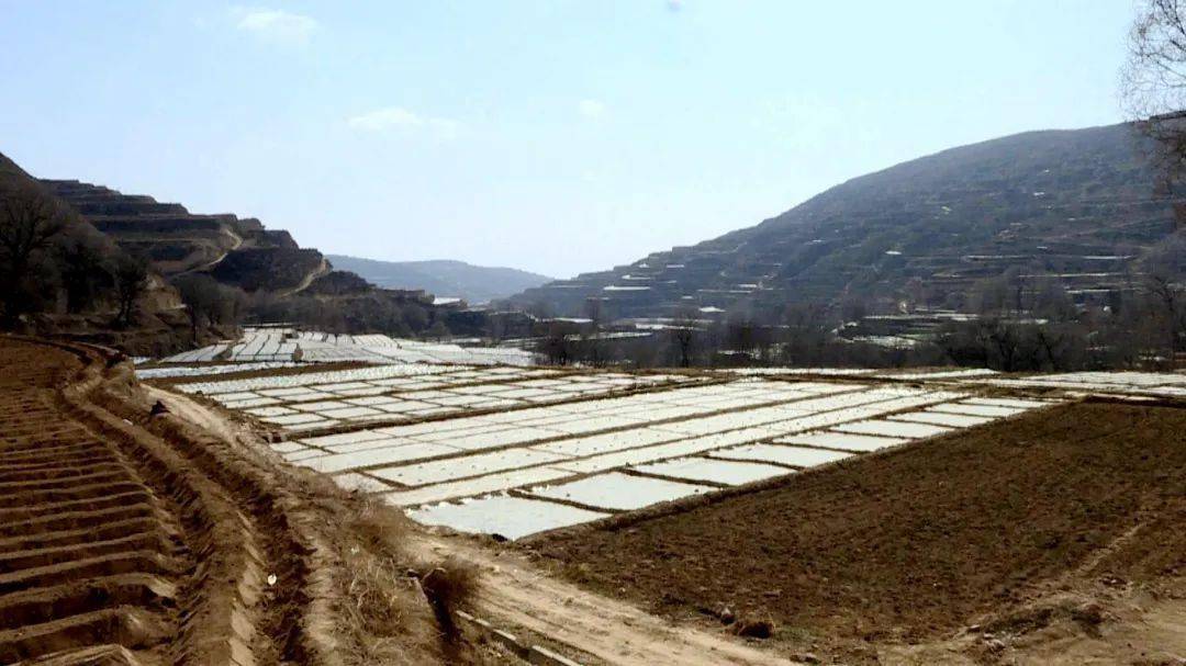 水地,对于地处山区的墩子村来说,确实是很金贵的,生活在这里的人们