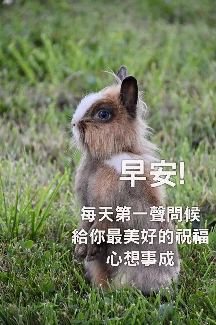 微信新版朋友圈群发早安短信2020微信早上好的温馨句子