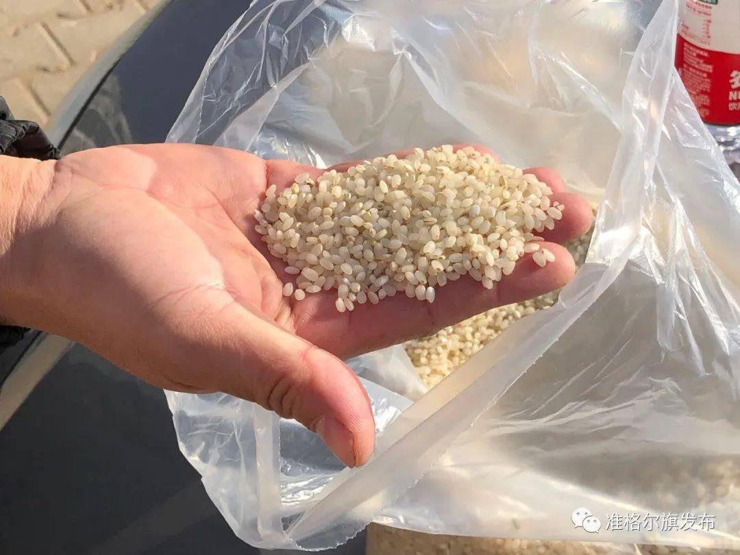 【城事】自助售米机现身准格尔旗,稻米现场脱壳._大米