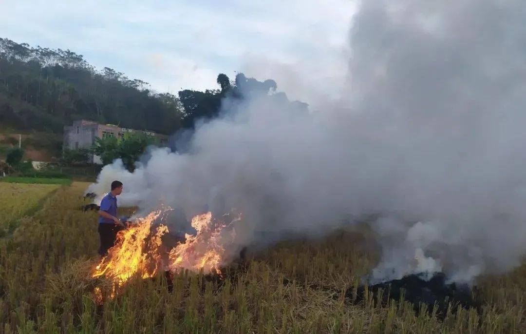 關部門利用無人機監控發現懷城街道譚勒村譚面塘有焚燒火點的視頻線索