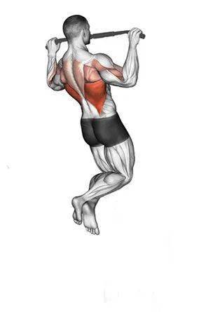 单杠直臂悬垂3-5次,每次保持30秒;如何实现"0"的突破,逐步达到"9"的