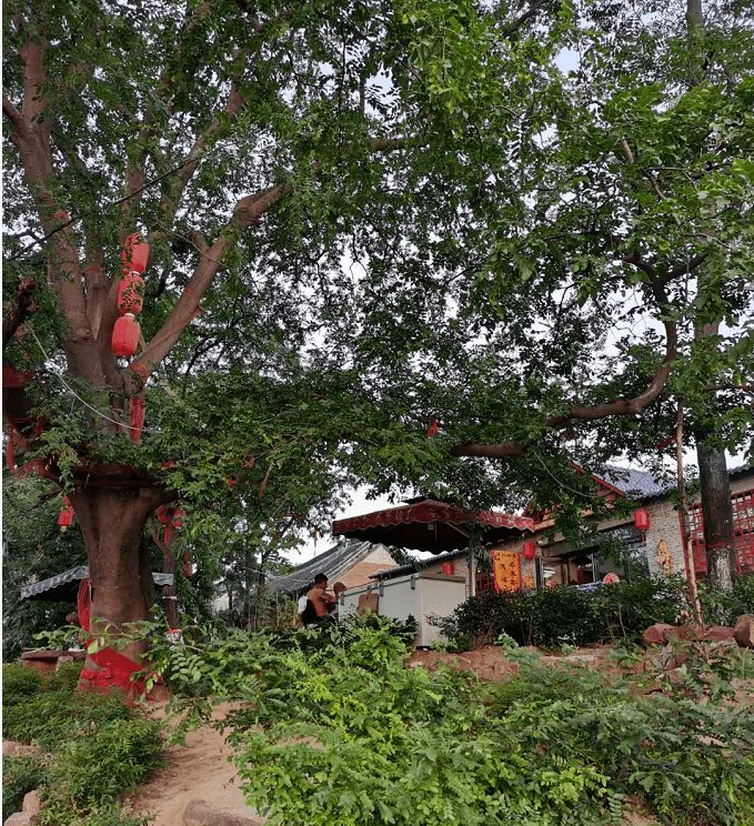 汝州润灵药业郏县临沣寨姚庄一日游