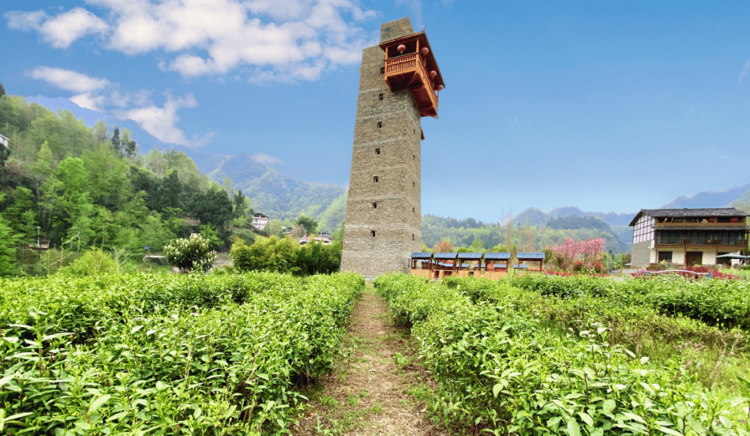 平武禅茶小镇图片