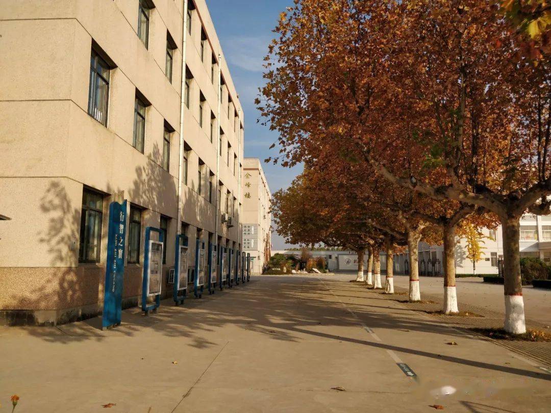 老中校园实拍惊艳了整个秋天