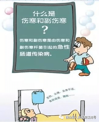 健康科普——伤寒和副伤寒防治须知_病人