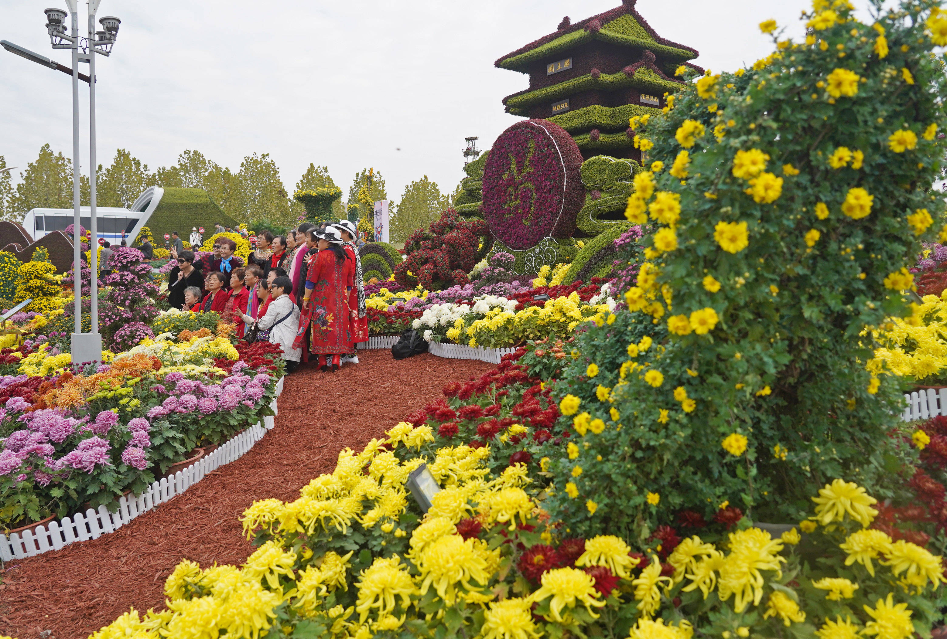 菊花展造型设计图片