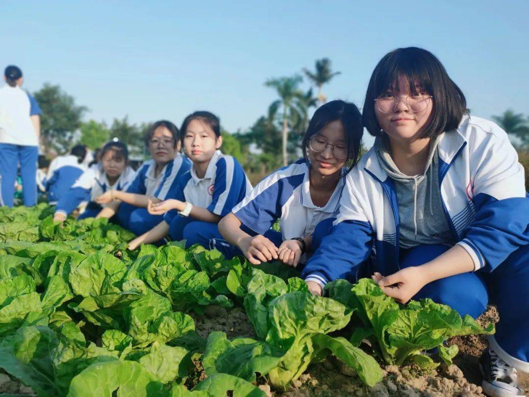 长泰二中高三年东南花都研学实践活动|魅力花都 燃动青春