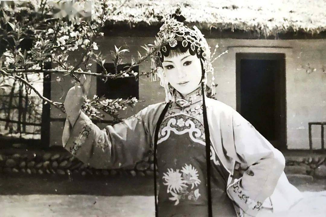 杨荣荣生于1947年陕西三原人一级演员著名戏曲表演艺术家精通秦腔眉户