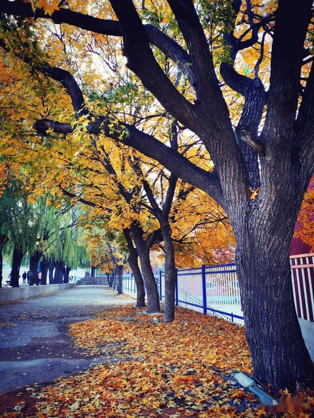 十一月千万不要和辽阳这些地方比美简直逼疯摄影师