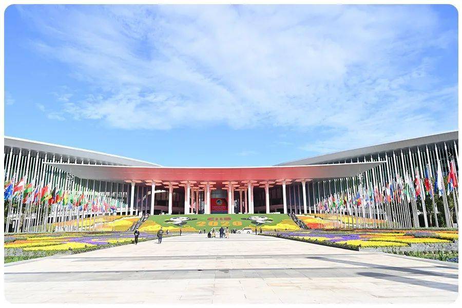 第三届进博会开幕红旗品牌自信亮相