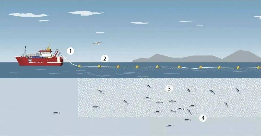 冬捕鱼原理图解图片
