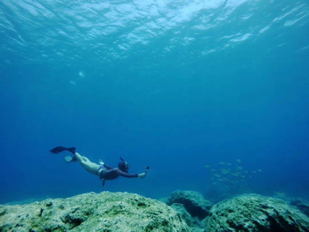 为海洋健康发声,gopro 携手 padi 发起首次"水下自拍日"活动