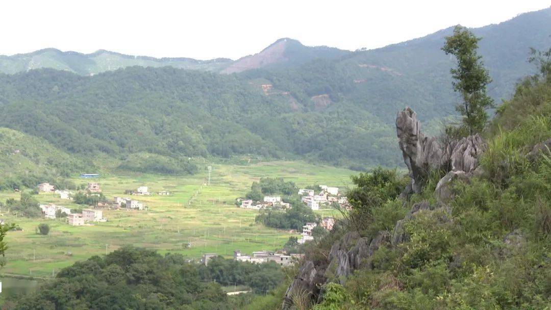 怀集寻源谷:打造森林康养休闲旅游新业态