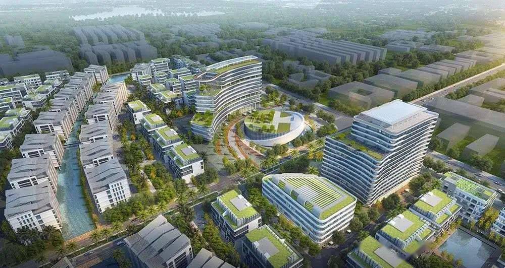 《乐东黎族自治县九所镇区控制性详细规划》批前公示,九所镇发展目标