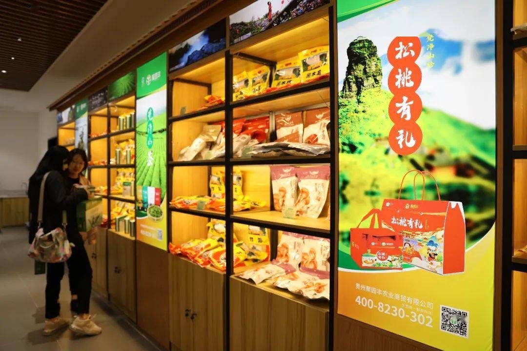 儿童服装行业观察：市场动态与趋势解读