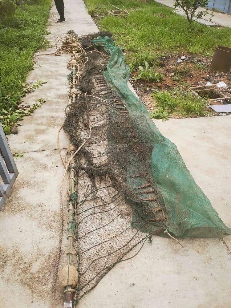 非法捕捞可能构成犯罪这些禁捕知识点不容错过