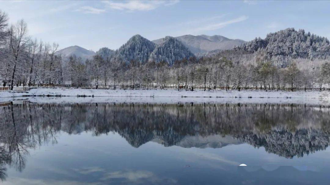 鸣岩松雪