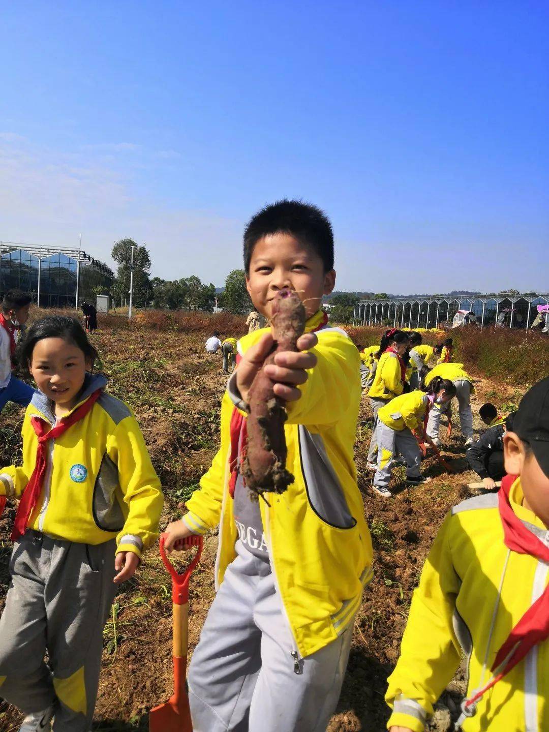 体验农耕大乐趣争做时代小劳模宜阳二小2020秋季研学活动