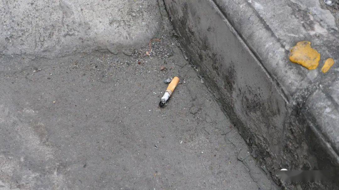 创文创卫曝光台扔烟头的动作很潇洒却丢掉了素质
