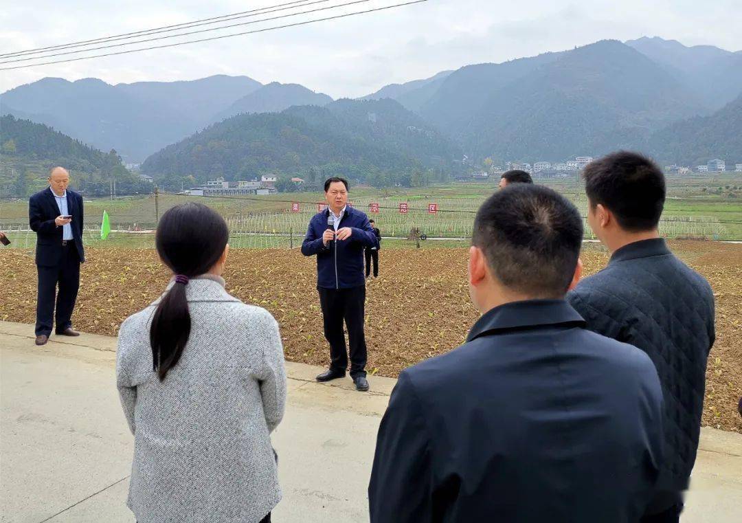 务川自治县2020年秋冬季农业生产暨坝区产业发展现场观摩推进大会召开