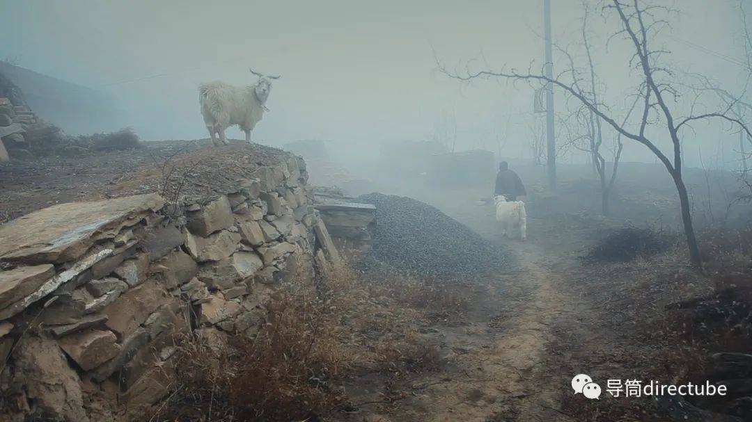 纪录片的“出神”时刻 | 黎小锋、贾恺专访-搜狐大视野-搜狐新闻