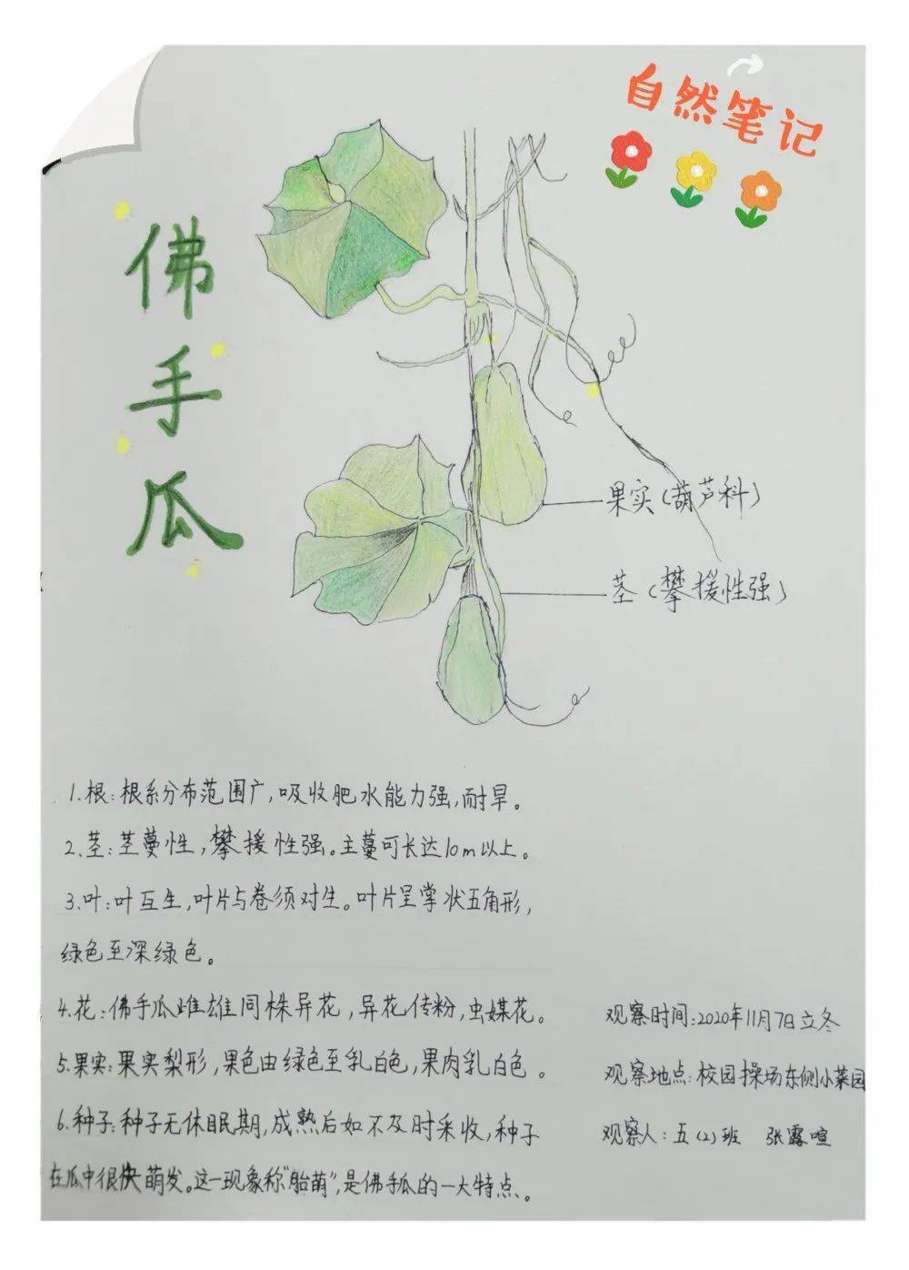 节气今日立冬万物始冬藏