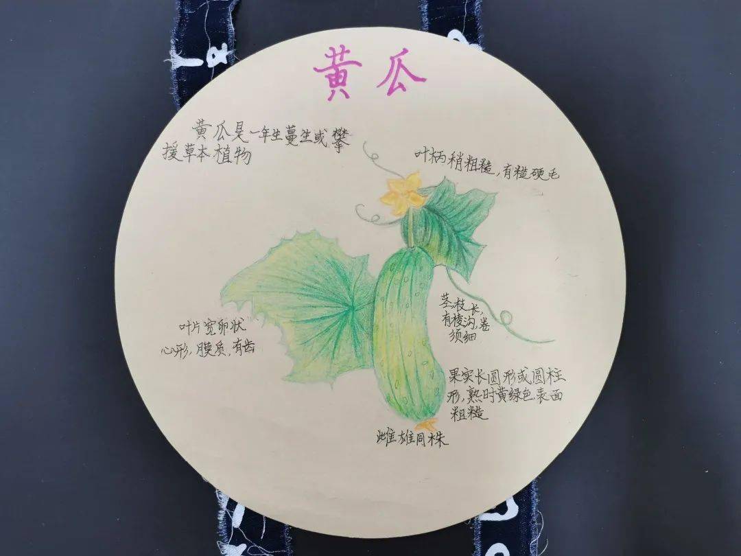 2020自然笔记学生系列作品展朝阳校区56年级