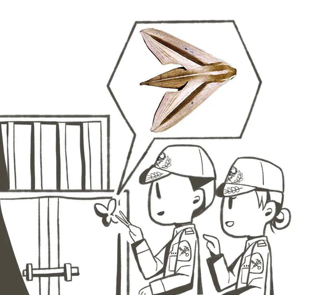 新法驾到带你走近中华人民共和国生物安全法