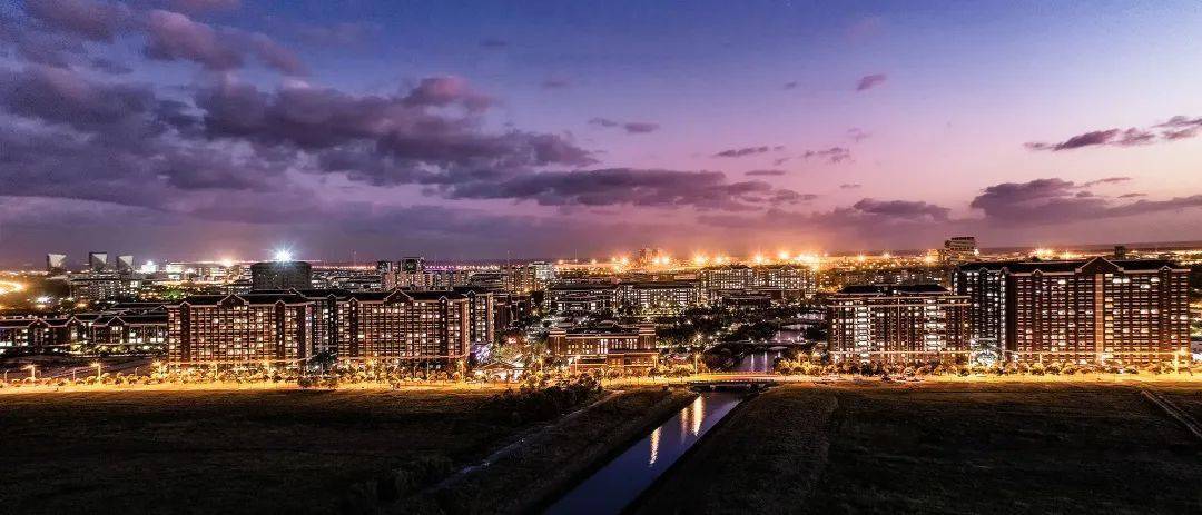 夜色下的临港大学城摇曳的青春