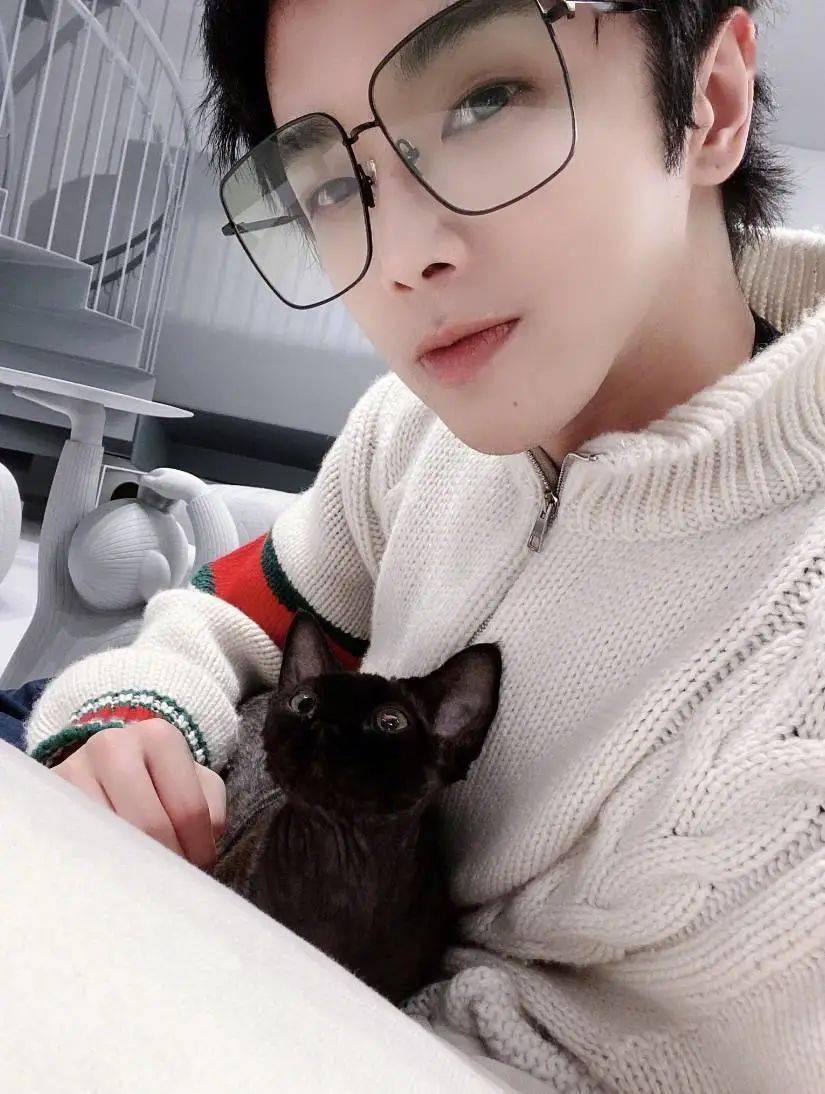 疯了华晨宇的猫居然能转运