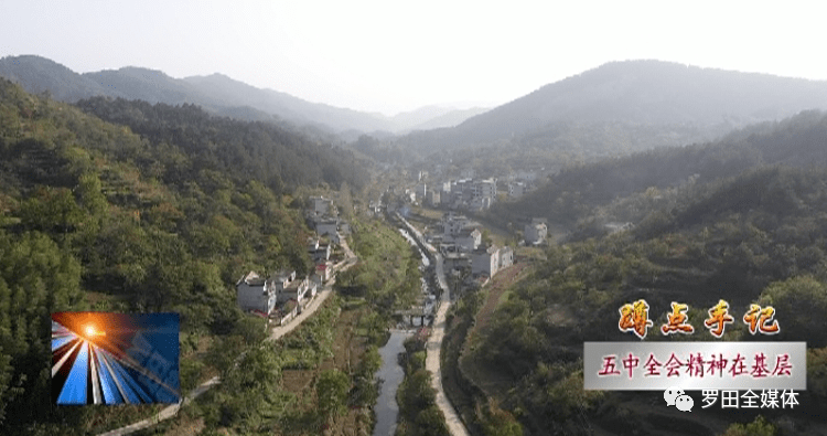 秋来走基层丰收访万家罗田县胜利镇瓦学村抓住产业发展牛鼻子找准脱贫