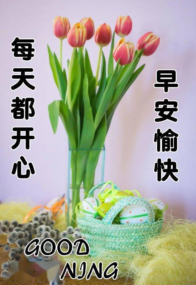 11月10日最漂亮早上好动态表情图片大全,早晨好动图美图大全_祝福