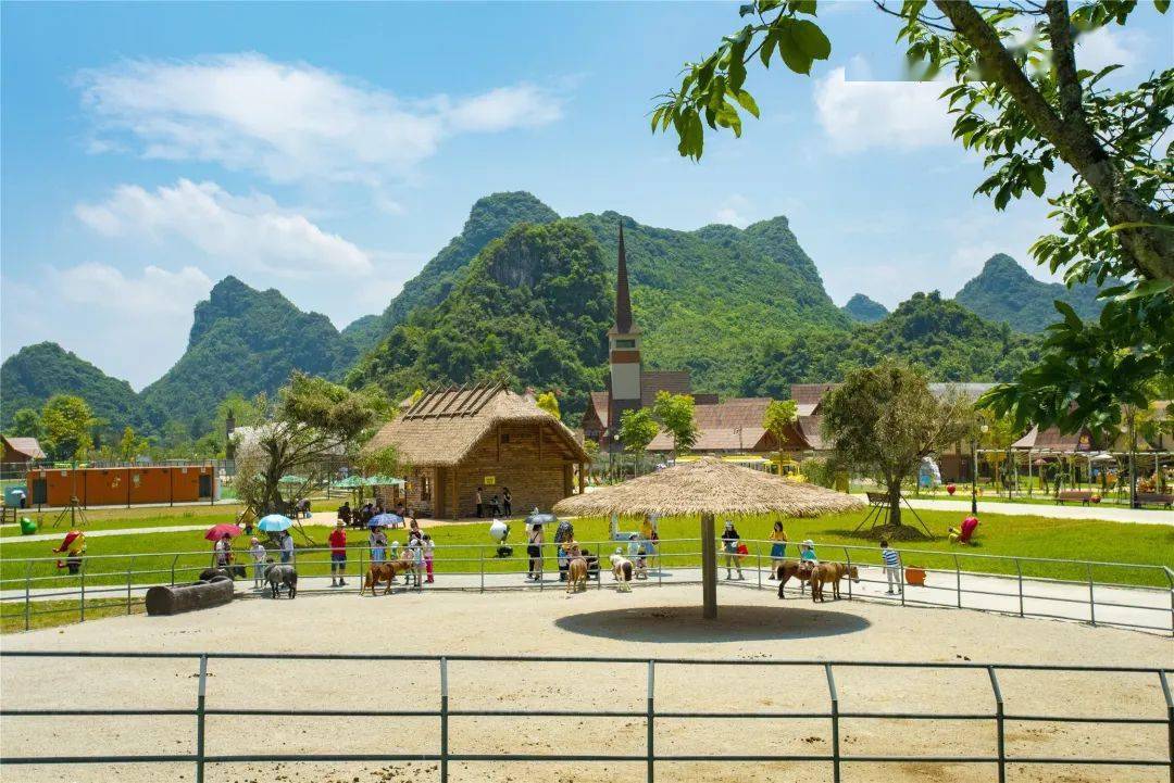 谁说双十一要剁手德保矮马王国景区特惠抢购来啦无套路轻松游