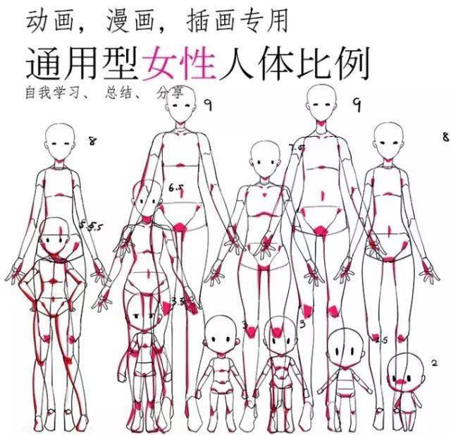 详细教程 最全的女性人体比例模型 画妹子必备~快来