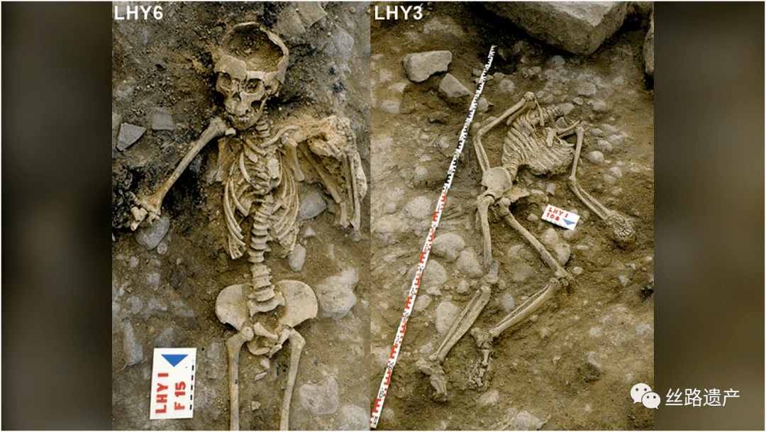 被斩首肢解的骸骨向世人揭示铁器时代的残忍杀戮