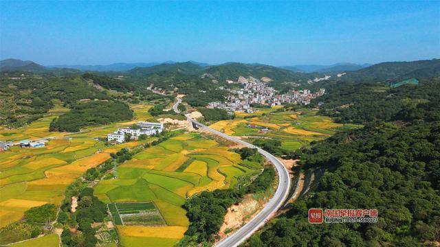 公里,起點位於貴港市平南縣平山鎮泗靈村附近,終於玉林市興業縣高峰鎮