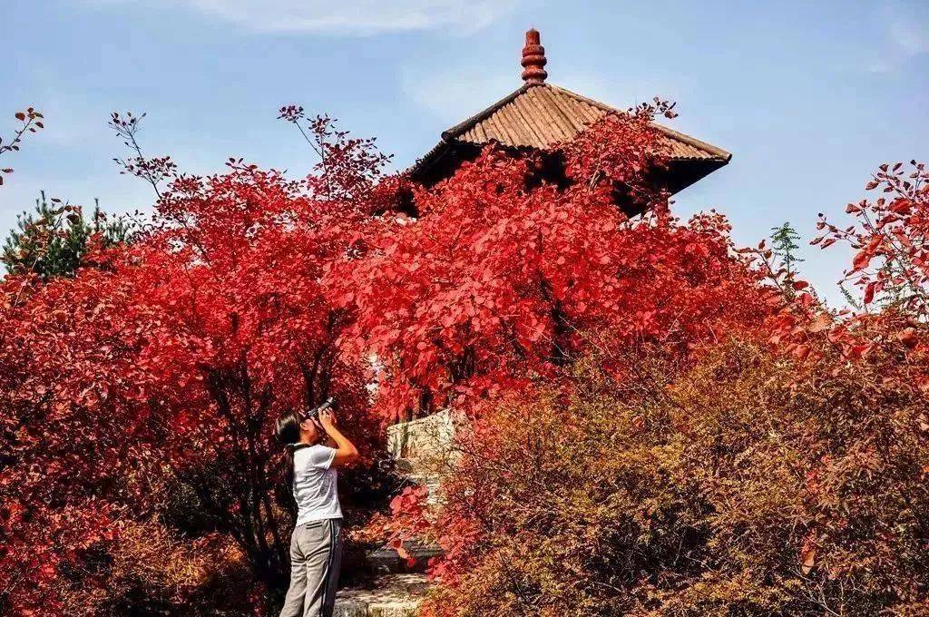 青天河景区位于河南省焦作市博爱县,是国家五a级旅游区,世界地质公园