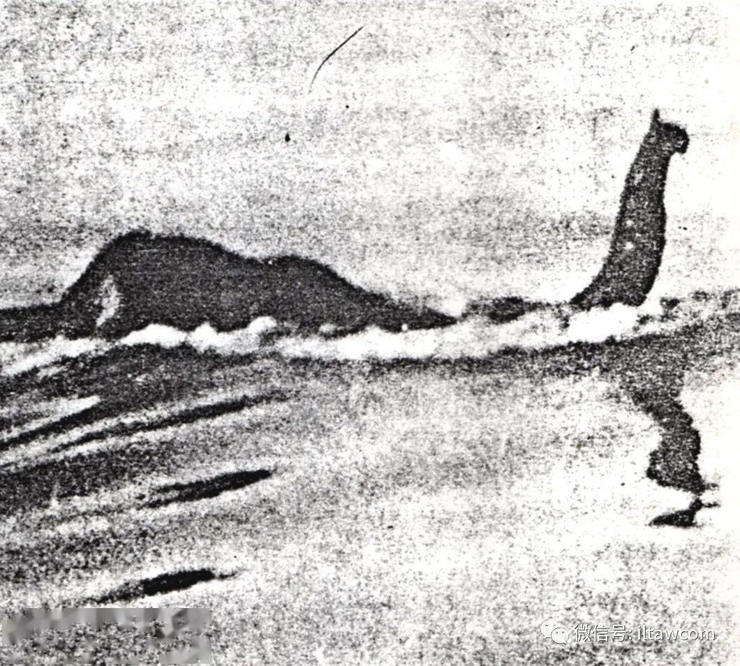 当惹雍错水怪,又称文部湖水怪,是指出没于中国西藏那曲市尼玛县当惹雍