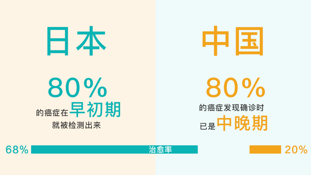 日本体检费用解读：一次全面的健康之旅