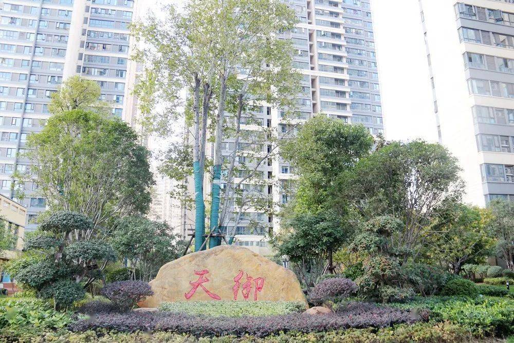 在铜锣湾九街十八巷为你收集一整个秋天