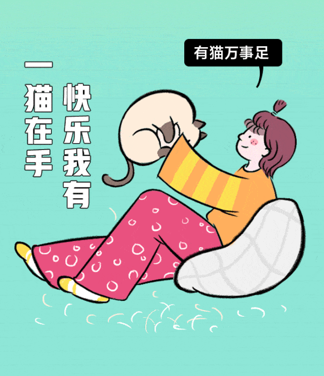 单身人单身魂单身都是人上人